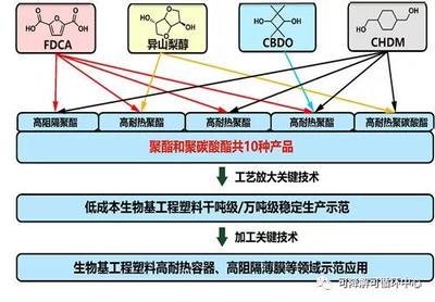 中科院寧波所生物基高分子團(tuán)隊(duì)獲批國家重點(diǎn)研發(fā)計(jì)劃項(xiàng)目，推動(dòng)生物基材料技術(shù)研發(fā)